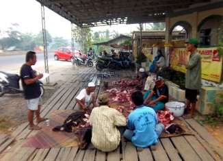 Trio Motor Sebar Kebahagiaan Lewat Hewan Qurban