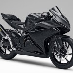 Light Weight Super Sport Concept, Calon Penerus CBR250R
